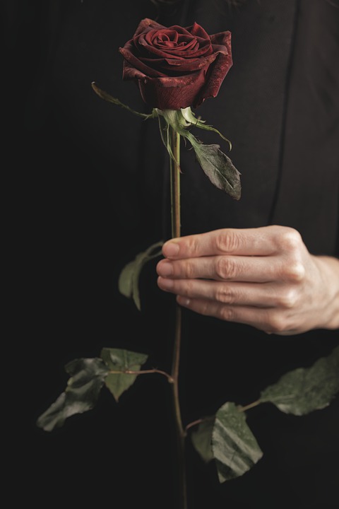 Offrir des fleurs a un homme : ce qu'il faut savoir